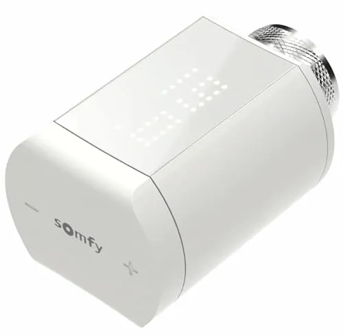 Somfy 1870508 Funk-Alarmanlagen-Erweiterung - Funk-Thermostat, individuelle Heizungssteuerung für ein ökologisches Smart Home