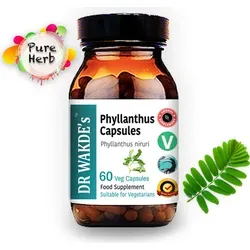 DR WAKDE'S Phyllanthus Kapseln (Bhumi-amla | Bhumyamalaki) | 60 Vegi Caps | Ayurveda-Supplement | Vegan | 100% Kräuter | Mengenrabatte | Am selben...