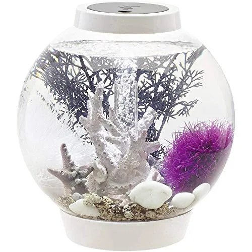 biOrb CLASSIC 15 LED Kugel-Aquarium, 15 Liter - Aquarien Komplett-Set mit LED Beleuchtung und patentiertem Filter-System, Acryl-Becken