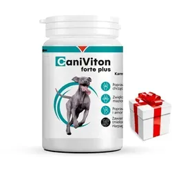 VETOQUINOL Caniviton forte plus - 90 Tabletten für gesunde Gelenke - Tiergesundheit: Nahrungsergänzungsmittel zur Unterstützung der Gelenkknorpelfunktionen, ideal für aktive Hunde.