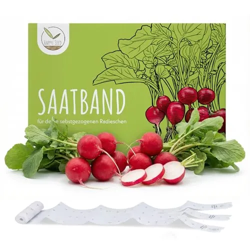 5m Saatband Radieschen Samen (Radies Riesenbutter Vitessa) - Saftig, rote Radieschen ideal für die Anzucht im Garten, Balkonkasten & Gemüsebeet