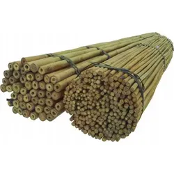 DIXIE STORE Bambusstangen Set Blumenstützen - 100 Stück 120 cm 6/8 mm - Praktisches Set mit 100 stabilen Bambusstangen (120 cm, 6/8 mm) für vielseitige Anwendungen im Garten. Ideal zur Unterstützung von Pflanzen und zur Gestaltung eines gepflegten Außenbereichs.