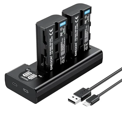 NP-F550 Replacement Battery (Pack of 2) and Smart LED Dual USB Charger for Sony NP-F550 and Sony CCD-RV100 CCD-RV200 SC5 SC9 TR1 TR940 Digital Cameras CN-160 CN-216 CN-304 YN 300 VL600 LED Video