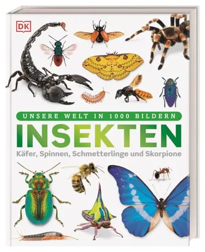 Unsere Welt in 1000 Bildern: Insekten für Kinder ab 8 Jahren - Entdecke die faszinierende Welt der Gliederfüßer! Dieses Buch bietet spannende Einblicke in Käfer, Spinnen, Schmetterlinge und Skorpione. Ideal für neugierige Kinder und angehende Entdecker! Perfekt zum Lernen und Staunen!  