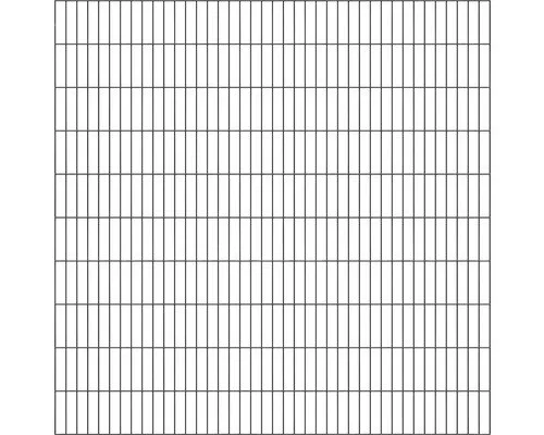 Doppelstabmatte ALBERTS Typ 6/5/6 200 x 200 cm - Gartenzaun aus robustem Metall in Anthrazit, ideal für sicheren und stilvollen Schutz Ihres Grundstücks.