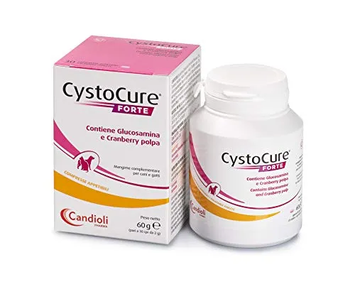 Candioli CYSTOCURE Forte 30 Tabletten (NDR)