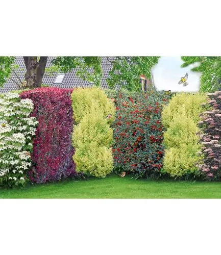 BALDUR Garten Vogelschutz-Hecke 'Bird-Lover' - 14 winterharte Pflanzen - Blumen & Pflanzen - Pflegeleichte Heckenpflanze mit Nistplätzen für Vögel und dekorativem Sichtschutz, ideal für Sonne bis Halbschatten.
