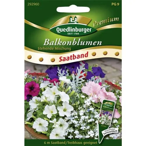 SB Balkonblumen, stehende Mischung