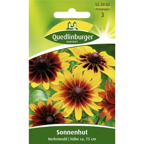 Sonnenhut, Herbstwald