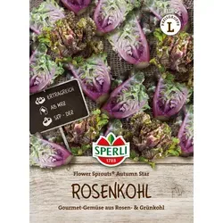 Mein schöner Garten DE SPERLI Rosenkohl 'Flower Sprouts® Autumn Star' F1 - Gemüsesamen & -pflanzen, eine innovative Kreuzung aus Grün- und Rosenkohl mit leckerem Geschmack, ideal für vielseitige Gerichte von Sommerernte bis Winter.