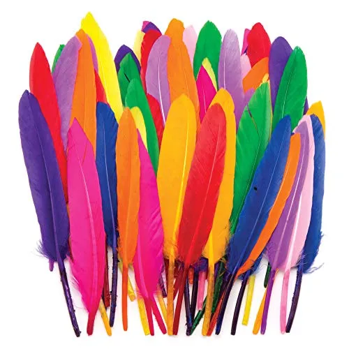 Baker Ross AR245 Ross Farbenfrohe Mini-Federn für Kinder – zum Basteln von Collagen und Modellen sowie Hüten und Kostümen zu Karneval (80 Stück), 13 cm, sortiert