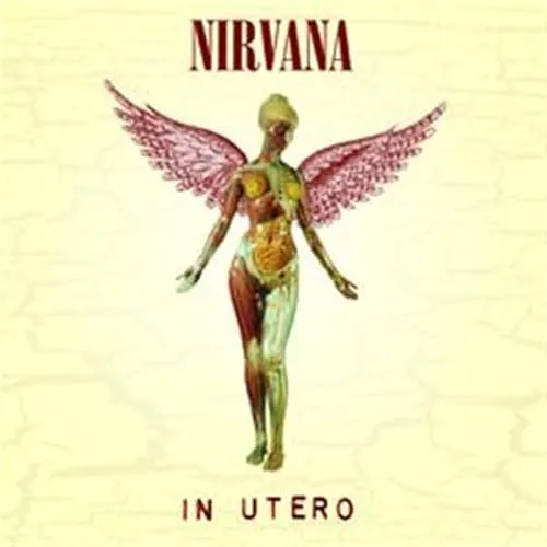 Nirvana - In Utero (BRD audio) [Blu-ray]