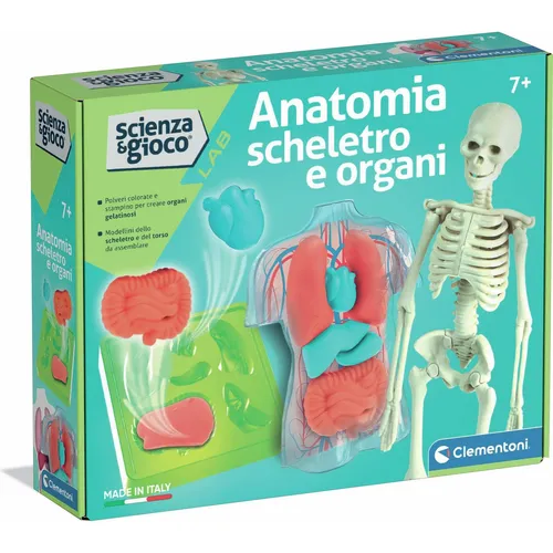 Clementoni Anatomia Scheletro e Organi (19414)