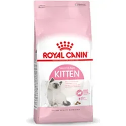 ROYAL CANIN Kitten 10kg - Energiereiches Trockenfutter für Kätzchen - Katzenfutter für Kätzchen bis 12 Monate, unterstützt gesundes Wachstum mit Antioxidantienkomplex und idealer Krokettengröße.