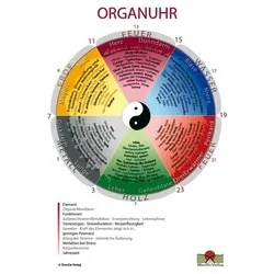 Organuhr Schaubild DIN A2 - Medizin: Informative Darstellung der menschlichen Organe, ideal für Unterricht und praktische Anwendungen.