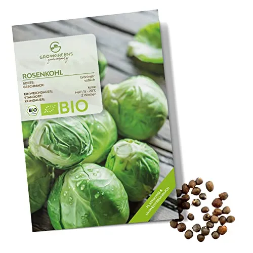 BIO Rosenkohl Samen (Groninger, 30 Korn) - Rosenkohl Saatgut aus biologischem Anbau ideal für die Anzucht im Garten, Balkon oder Terrasse