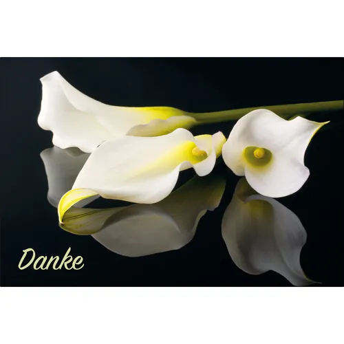 Trauerkarten Danksagung Klappkarten mit 30 Umschläge Danke Kondolenzkarten 30
