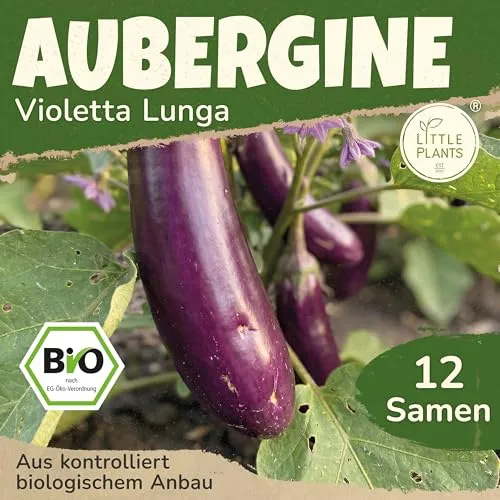 Little Plants BIO Aubergine Samen 12 Auberginensamen Violetta Lunga Gemüsesamen für Gemüsegarten Samenfest Gemüse Samen für Küche, Balkon und Garten