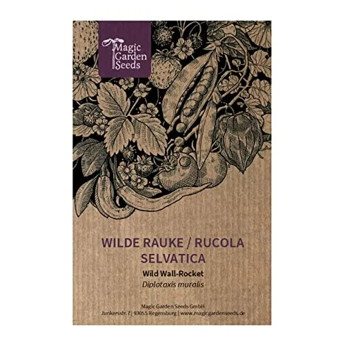 Wilde Rauke/Rucola selvatica (Diplotaxis muralis) - ca. 1500 Samen