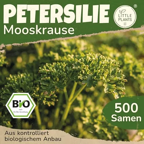 Little Plants BIO Petersilie Samen Mooskrause 500 Petersiliesamen Kräutersamen für Kräutergarten Hochbeet Samenfest Kräuter Samen für Küche, Balkon und Garten Küchenkräuter