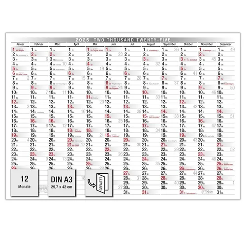 Plakatkalender A3 Wandkalender Kalender 2025 Jahresplaner Kalender [gefalzt]