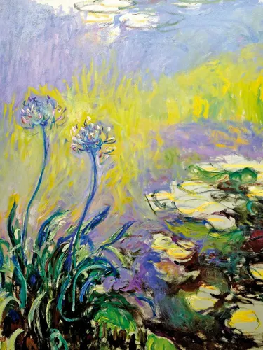 1art1 Poster Claude Monet Kunstdruck Bild - Schmucklilien, Agapanthus
