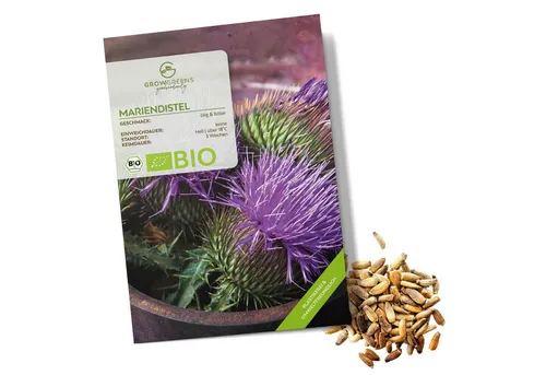 Growgreens Kräutersamen BIO Mariendistel Samen - Heilkräuter Saatgut aus bio. Anbau (50 Korn)