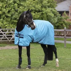 Horseware Amigo Hero Ripstop 50g Weidedecke Delphinium - Blau - Hochwertige Weidedecke von Horseware für optimale Bewegungsfreiheit. Atmungsaktives 600 D Ripstop-Polyester mit 50g Füllung, ideal für die Übergangszeit. Doppelter T-Hakenverschluss für sicheren Sitz.