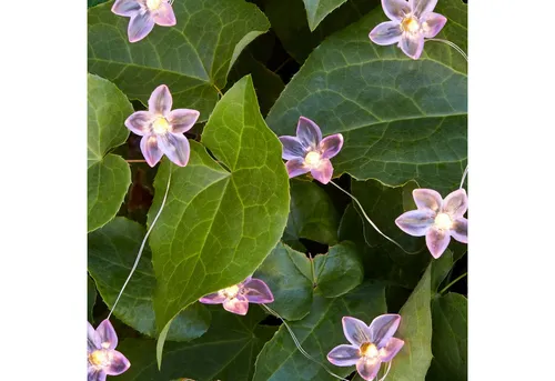 Lights4fun LED-Lichterkette 20er Micro Lichterkette außen Blumen