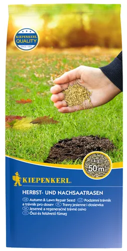 Kiepenkerl Saatgut Herbst- und Nachsaatrasen 1 kg - Rasensamen für 50 m², ideal für eine robuste und grüne Rasenfläche auch in der kühleren Jahreszeit.