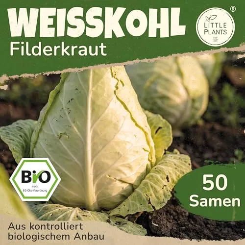 Little Plants BIO Weißkohl Samen 50 Weißkohlsamen Filderkraut Weißkraut Gemüsesamen Gemüsesaatgut Samenfest für Gemüsegarten, Hochbeet, Küche, Balkon und Garten