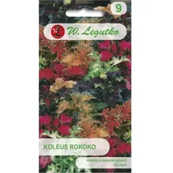 Koleus Rokoko Mischung Saatgut - Vielfältige Koleus - Coleus blumei - Mischung für bunte Akzente im Garten oder auf dem Balkon. Ideal für Hobbygärtner, die Farbe und Vielfalt lieben!