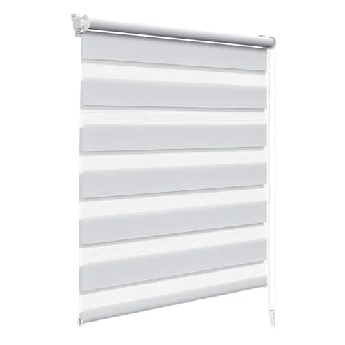 WOLTU Doppelrollo Klemmfix ohne Bohren Grau B80 x H120 cm, Duo Rollo lichtdurchlässig Fensterrollo für innen verdunkelnd, Zebrarollo mit Kettenzug - Seitenzugrollo für Fenster und Tür