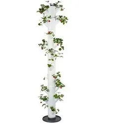 Erdbeerpflanzgefäß SISSI STRAWBERRY Infinity weiß - Garten-Zubehör für 21 Erdbeerpflanzen, platzsparender Erdbeerturm mit 25 L Volumen, ideal für frische Erdbeeren auf Balkon oder Terrasse.