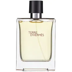 Hermes Terre d Hermes 100ml Eau de Toilette - Duft für Damen, harmonische Verbindung von Mann und Natur, ideal für den modernen Lifestyle