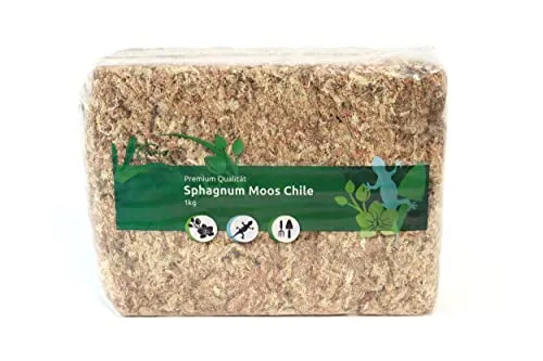 Sphagnum Moos aus Chile für Terrarien und Orchideen – 1000 g - Hochwertiges Sphagnum Moos für optimale Luftfeuchtigkeit in Terrarien und als ideales Substrat für Orchideen. Fördert gesundes Wurzelwachstum und ist biologisch abbaubar.