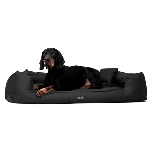 tierlando® Orthopädisches Hundebett Goofy XL-XXXL - Hundebett mit waschbarem Polyester-Bezug, bietet orthopädische Unterstützung für große Hunde mit Gelenkproblemen – ideal für gesunden Schlaf und Erholung.