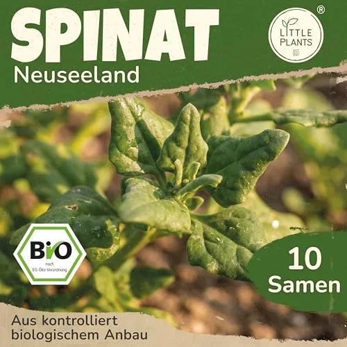 Little Plants BIO Spinat Samen 10 Spinatsamen Neuseeland Tetragonia Gemüsesamen Gemüsesaatgut Samenfest für Gemüsegarten, Hochbeet, Küche, Balkon und Garten