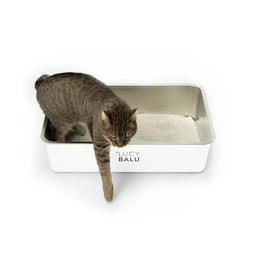 LucyBalu® Edelstahl Katzenklo - geruchsfrei & extra groß - Katzentoilette aus Edelstahl, hygienisch und leicht zu reinigen, ideal für große Katzen und Kitten. Offenes Design für einfachen Einstieg und maximale Stabilität.