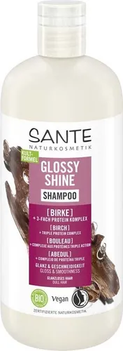 Sante Family Glanz SH Bio-Birkenblatt 500ml - Shampoo für normales und glanzloses Haar, spendet Geschmeidigkeit und Glanz mit Bio-Birkenblatt. Nachhaltige 500ml Flasche aus 100% Recyclat.