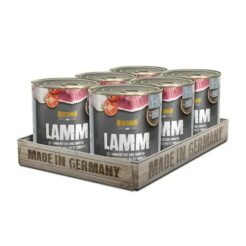 Belcando Lamm mit Reis und Tomaten - 6x800g Nassfutter für Hunde - Nassfutter für Hunde mit Lamm, ideal für empfindliche Tiere. Schonend gegart, proteinreich und gut verdaulich – perfekt für die tägliche Fütterung.