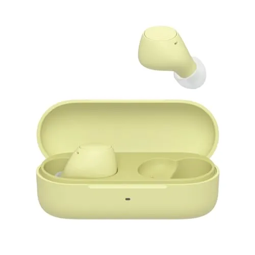 Sony WF-C510 - Truly Wireless In-Ear-Kopfhörer, leicht und komfortabel mit 22 Stunden Akku, Multipoint-Connection und IPX4 wasserdicht