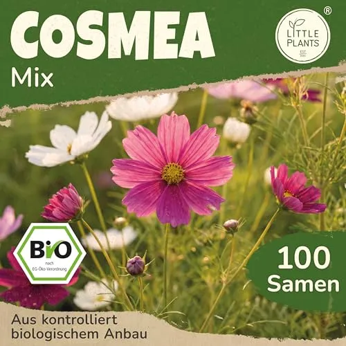Little Plants BIO Cosmea Samen Mischung 100 Cosmeasamen Blumensamen Samenfest für Blumengarten Blumen Samen für Balkon, Hochbeet und Garten