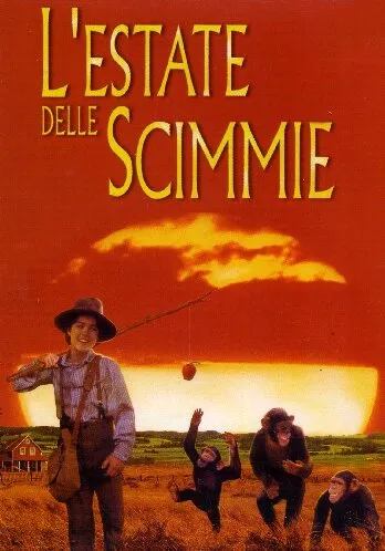 L'Estate Delle Scimmie [IT Import]