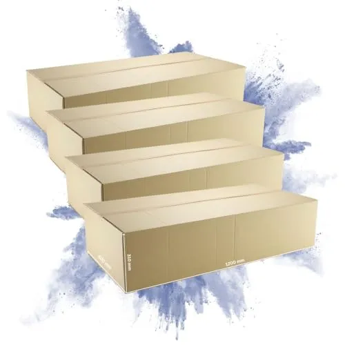 PROREGAL 4x Versandkarton 2-wellig | LxBxH 1200 x 600 x 310 mm | Belastbar bis 30 kg | Braun | Große Pappkiste Faltkarton Karton Paket für Versand mit DHL DPD GLS UPS Hermes
