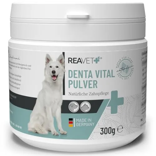 Denta Vital Pulver 300g - Tiergesundheit - Effektive Zahnpflege für Katzen & Hunde, reduziert Mundgeruch und Zahnstein mit natürlichem Pulver aus Pfefferminz und Petersilie.