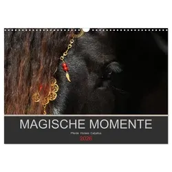 Petra Eckerl Tierfotografie Www. Petraeckerl. Com | Magische Momente - Pferde...