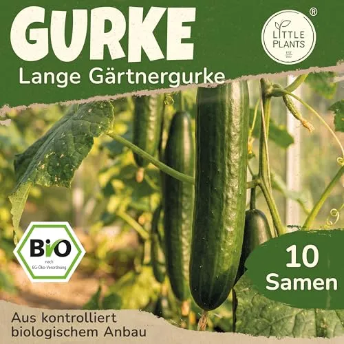 Little Plants BIO Gurke Samen 10 Gurkensamen Salatgurke Gemüsesamen Samenfest für Gemüsegarten Gemüse Samen Hochbeet Samen für Küche, Balkon und Garten