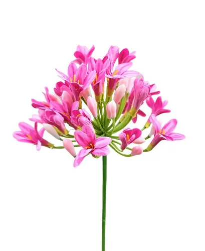 artplants Kunstblume Agapanthus OMOLON, rosa, 75cm
