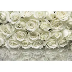 Komar Fototapete A la Rose - 368 x 254 cm, Blumenmuster - Fototapete für Wohnzimmer und Schlafzimmer, mit fotorealistischen Blumenmotiven, leicht zu montieren und ideal für eine individuelle Wandgestaltung.